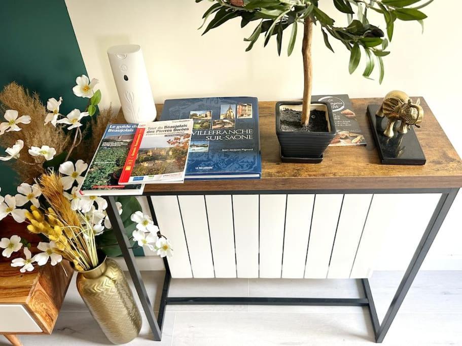 דירות Villefranche-sur-Saône Loasis - Duplex T4 Hypercentre מראה חיצוני תמונה